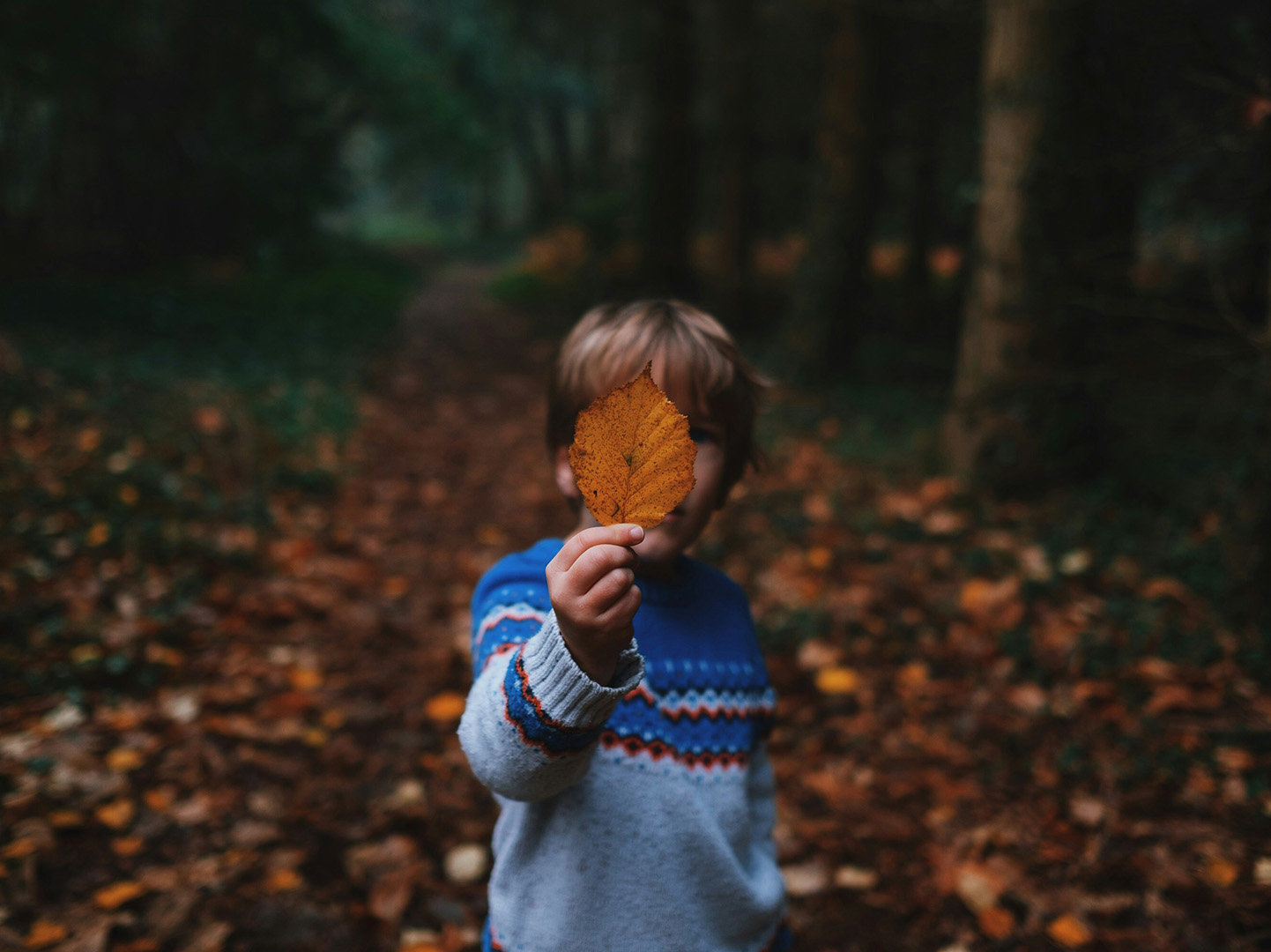 Must-Do Activities: Reasons to Visit the Algarve in Autumn. A child holds a dry autumn leaf in their hand.